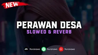 Download DJ Perawan Desa ( Slowed \u0026 Reverb ) 🎧 MP3