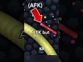 Faking AFK to get the kill! | Slither io