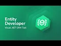Entity Developer Overview Visual ORM Designer for NET