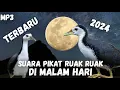 Download Lagu Suara panggil burung Ruak-ruak malam. Sekali bunyi langsung terbukti cocok untuk OTT