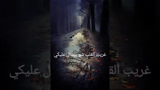 مروان خوري  انا والليل  حالات واتس اب دندنها