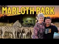 Download Lagu Most perfect place to stay when visiting Kruger National Park. Marloth Park, where animals roam free