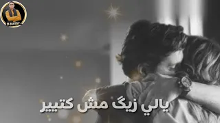 حالات واتس تامر عاشور هيا كام مره هقابل حد بيحب بضمير جميله اوووي 