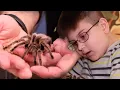 Bugs rule the world at Insectropolis in Toms River New Jersey