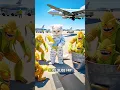 Download Lagu Help me, ik word achtervolgd door maïsmossen #komedie #grappigekortefilmpjes #kattenliefhebbers