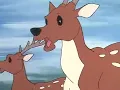 Download Lagu The Jungle Book Hindi Episode 20   ----    Mowgli's Lair THE JINGEL BOOOK IN HINDI