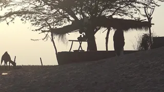 عهد علي دندنها