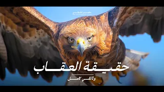 أسرار العقاب الذهبي أخطر الطيور في العالم القصة كاملة وثائقي  أسرار العقاب الذهبي أخطر الطيور في العالم القصة كاملة وثائقي