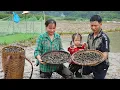 Download Lagu Husband Follows Wife to the Field, Accidentally Discovers Field Snails - Unexpected Ending