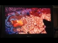 Download Lagu Opening to Aladdin and the King of Thieves UK VHS (1997)