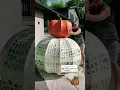 Giant pumpkin diy