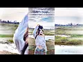 Download Lagu DJ NEW RULES x KIMI NO TORIKO🌀 / NEW TREND AM PRESSED/xml link👇... 