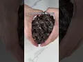 500 SLIME GLUE