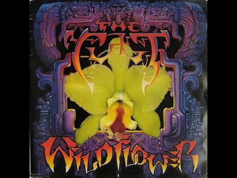 Download MP3 The Cult - Wild Flower