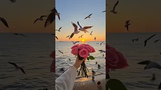 والله راضي بحالى اكسبلور 