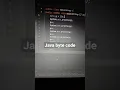 Java byte code program