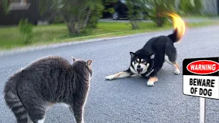 Target Approaching, Prepare Tactical Formation
