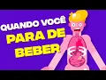 Lagu O Que Acontece Com Seu Corpo Quando Você Para De Beber Álcool