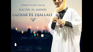 Lazhar Jalali فرخ الحمام البري 