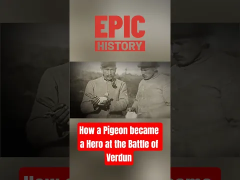 How a Pigeon became a Hero at the Battle of Verdun