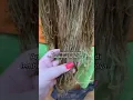 Download Lagu Rambut rusak akibat bleaching dan smoothing