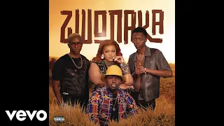 mellow u0026 sleazy dbn gogo dinho zwonaka official audio 