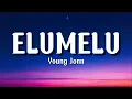 Young Jonn Elumelu (Lyrics video)
