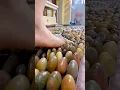 Foot Massage Cushion