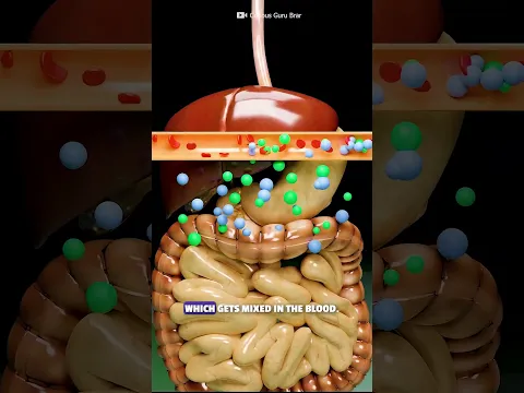 How Urine Forms In Our Body? #science #sciencefacts