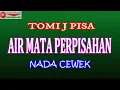 Download Lagu AIR MATA PERPISAHAN NADA CEWE (COVER) KARAOKE DANGDUT