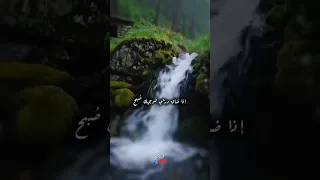 رفيقة غيم وزهرة ولطف لايك اشتراك Foryou اللهم صل وسلم على نبينا محمد اكسبلور 