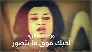 ورده الجزائريه تغنى أحبك فوق ما تتصور بشكل و أخراج جديد دندنها