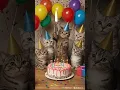 Cate cat happy birthday to you #shortsfeed#catshorts#viral#viralvideo#viralshorts#viralvideos