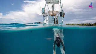 A paradise to call home (AMAZING COUPLE LIVING ISOLATED)  – Unforgettable Sailing – Ep.136