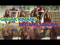 Download Lagu TREN GRT X BINTANG SAMURAI
