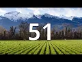 51 Second Countdown Timer With Alarm Sound At the End Simple Beep