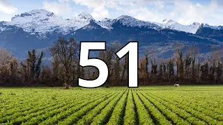 51 Second Countdown Timer With Alarm Sound At the End Simple Beep