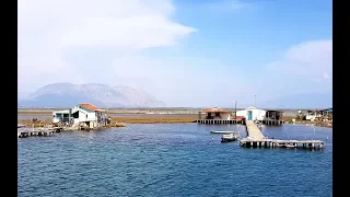 THINGS GO TERRIBLE WRONG. Sailing Ocean Fox Ep 6