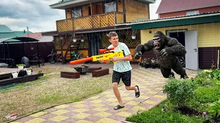 Nerf war against angry gorillas