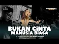 Download Lagu Bukan Cinta Manusia Biasa - Dewa 19 (Cover by Alfa Bintang Orchestra) Wedding of Faisal \u0026 Risa