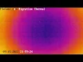 Fall Migration 2022 Thermal Camera - 2022 21 58