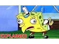 THE MOCKING SPONGEBOB MEME - EXPLAINED