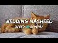 Download Lagu Wedding Nasheed By Mohammad Al Muqit Speed Up and Reverb@FarzainEdits_09