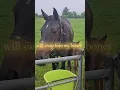 https://open.spotify.com/track/1uK3qkfvvjRN1JtjO0b9YD?si=20jEhE1_SzCVgfPNeX90rw
