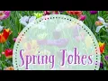 Spring Jokes