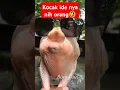 Story wa lagu, status wa lagu Hiburan buat warga +62, video lucu, mau ketawa takut dosa, tahan tawa