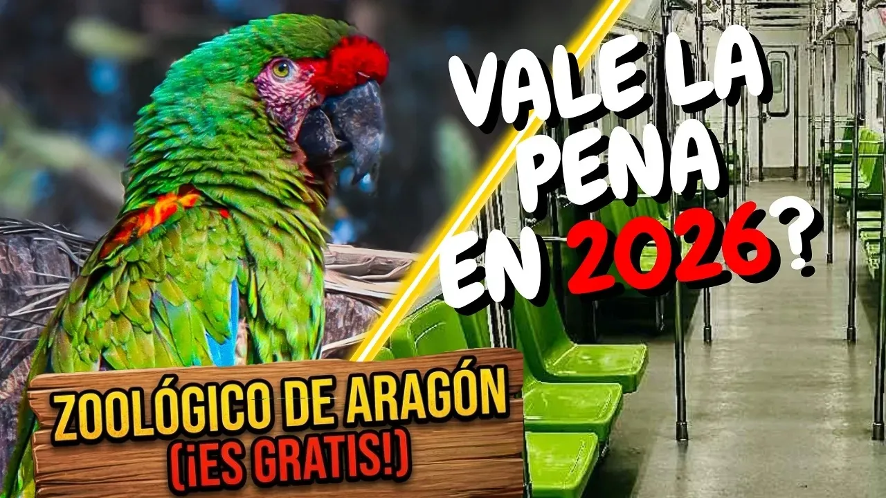 Vale la pena visitar el Zoológico de Aragon en 2026?