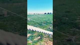 وانت ماترحم كبيرك ياصغير 