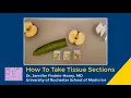 How to take pathology tissue sections