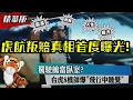 Download Lagu 揭開虎航內部亂象｜捍衛飛安卻讓我從機長變成叛賠主角的真相